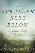 A Stranger Here Below (eBook, ePUB) - Bild 1