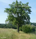 Licht der Bindung (eBook, ePUB)