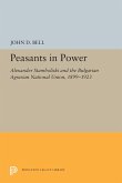 Peasants in Power (eBook, PDF)