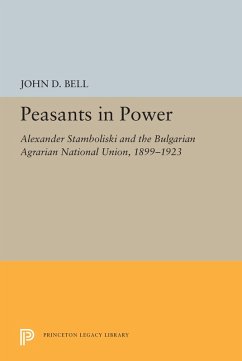 Cover Peasants in Power (eBook, PDF)