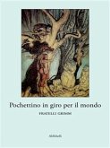 Pochettino in giro per il mondo (eBook, ePUB)