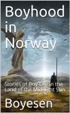 Boyhood in Norway: Stories of Boy-Life in the Land of the Midnight Sun (eBook, PDF)