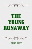 The Young Runaway (eBook, ePUB)