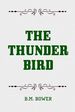 The Thunder Bird (eBook, ePUB) - Bower, B.M.