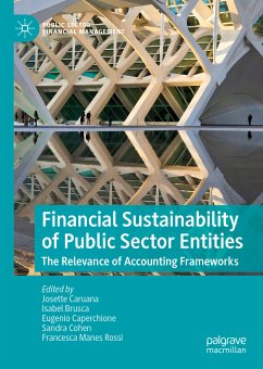 Financial Sustainability of Public Sector Entities (eBook, PDF)