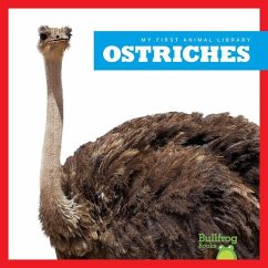 Ostriches - Nelson, Penelope S