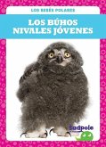 Los Buhos Nivales Jovenes (Snowy Owlets)