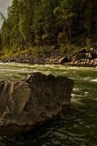 A Fast Creek: Rapids Are Characterized by the River Becoming Shallower with Some Rocks Exposed Above the Flow Surface. as Flowing Wa