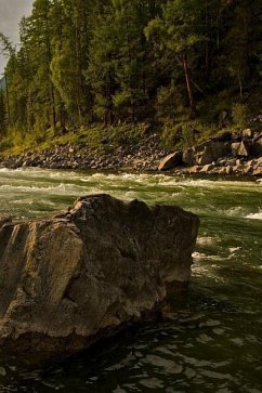 A Fast Creek: Rapids Are Characterized by the River Becoming Shallower with Some Rocks Exposed Above the Flow Surface. as Flowing Wa - Journals, Planners And