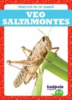 Veo Saltamontes (I See Grasshoppers) - Nilsen, Genevieve