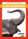 Las Narices (Noses)