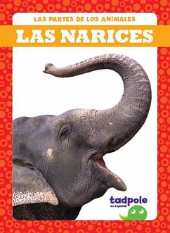 Las Narices (Noses) - Lee Gleisner, Jenna; Gleisner, Jenna Lee