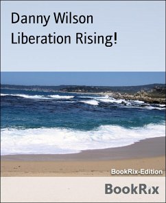 Liberation Rising! (eBook, ePUB) - Wilson, Danny