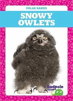 Snowy Owlets - Nilsen, Genevieve