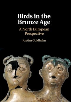 Birds in the Bronze Age - Goldhahn, Joakim