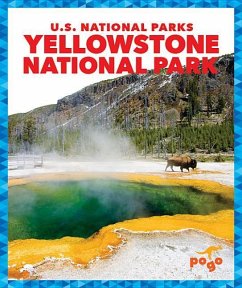 Yellowstone National Park - Penelope S Nelson