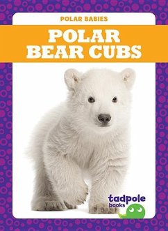 Polar Bear Cubs - Nilsen, Genevieve