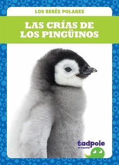 Las Crias de Los Pinguinos (Penguin Chicks) - Nilsen, Genevieve