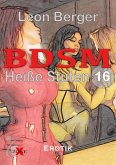 BDSM 16 (eBook, PDF)