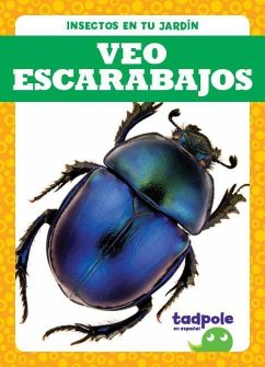 Veo Escarabajos (I See Beetles) - Nilsen, Genevieve