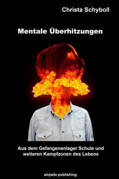 Mentale Überhitzungen (eBook, ePUB) - Schyboll, Christa