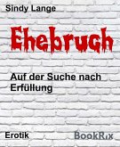 Ehebruch (eBook, ePUB)