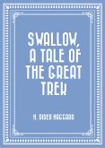 Swallow, a Tale of the Great Trek (eBook, ePUB)