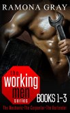 Working Men Series Books One to Three (eBook, ePUB)
