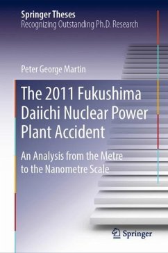 The 2011 Fukushima Daiichi Nuclear Power Plant Accident - Martin, Peter George