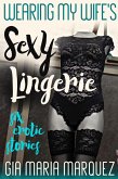 Wearing My Wife’s Sexy Lingerie (eBook, ePUB)