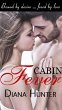 Cabin Fever (eBook, ePUB) - Bild 1