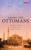 Among the Ottomans (eBook, ePUB)