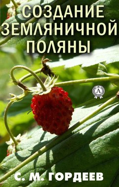 Create a strawberry field (eBook, ePUB) - Gordeyev, S. M.