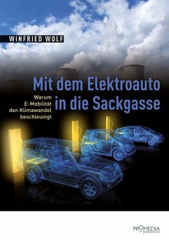 Mit dem Elektroauto in die Sackgasse (eBook, ePUB) - Wolf, Winfried