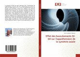 Effet des basculements GI-GII sur l'appréhension de la symétrie axiale