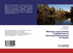 Metody polucheniq sorbentow iz lignocellüloznyh othodow - Kupchik, Lidiq;Sych, Nataliq;Grigorenko, Nataliq