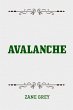 Avalanche (eBook, ePUB) - Bild 1