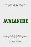 Avalanche (eBook, ePUB)