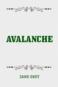 Cover Avalanche (eBook, ePUB)