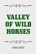 Valley of Wild Horses (eBook, ePUB) - Bild 1