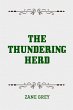 The Thundering Herd (eBook, ePUB) - Bild 1