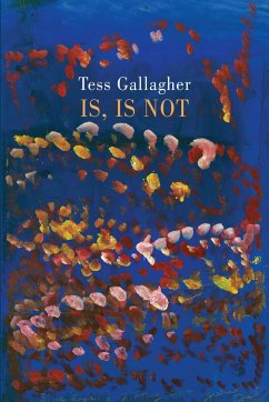 Is, Is Not (eBook, ePUB) - Gallagher, Tess