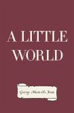 A Little World (eBook, ePUB)