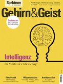 Gehirn&Geist 4/2019 Intelligenz (eBook, PDF)