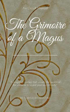 Cover The Grimoire of a Magus (eBook, ePUB)