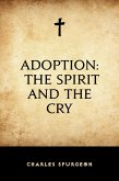 Adoption: The Spirit and the Cry (eBook, ePUB)