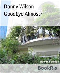 Goodbye Almost? (eBook, ePUB) - Wilson, Danny