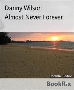 Almost Never Forever (eBook, ePUB) - Wilson, Danny