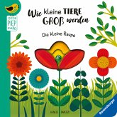 Wie kleine Tiere groß werden. Die kleine Raupe Wie kleine Tiere groß werden. Die kleine Raupe
