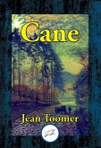 Cane (eBook, ePUB)